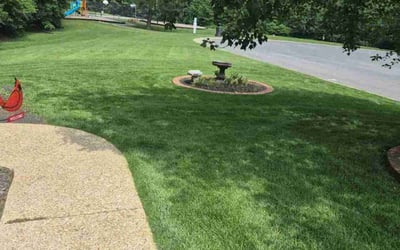 Photo of Cindy S.'s yard after getting lawn care in Bloomfield, NJ