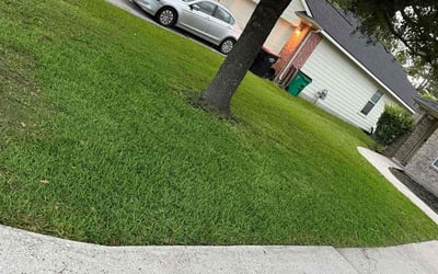 Photo of Charity R.'s yard after getting lawn care in Charleroi, PA