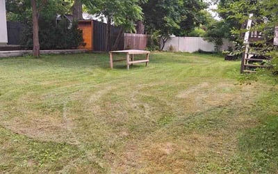 Photo of Elizabeth M.'s yard after getting lawn care in Saratoga Springs, NY