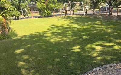Photo of Igor M.'s yard after getting lawn care in Howell, MI