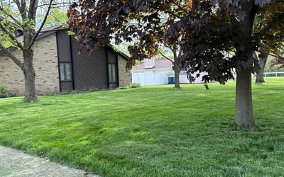 Photo of Tabitha S.'s yard after getting lawn care in Madison, AL