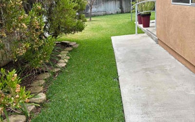Photo of Todd J.'s yard after getting lawn care in Fullerton, CA