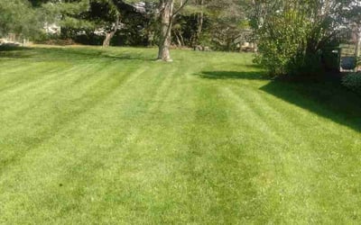Photo of Rocky W.'s yard after getting lawn care in Pickerington, OH