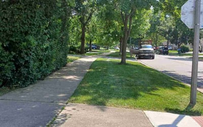 Photo of George C.'s yard after getting lawn care in Charlotte, NC