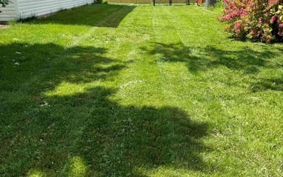 Photo of Kathy F.'s yard after getting lawn care in Scottsburg, IN