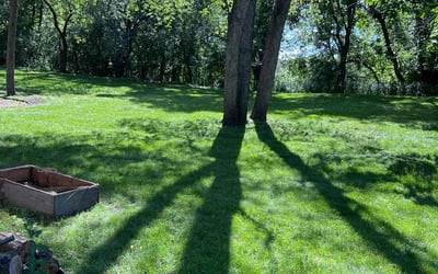 Photo of Deja F.'s yard after getting lawn care in Apple Valley, MN