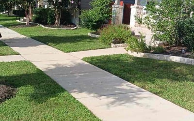 Photo of Joycleyn A.'s yard after getting tree care in San Marcos, CA