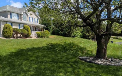 Photo of Jessica C.'s yard after getting lawn care in Stroudsburg, PA