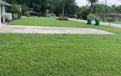 Photo of Flojean W.'s yard after getting lawn care in Mims, FL