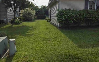 Photo of Justin R.'s yard after getting lawn care in North Augusta, SC