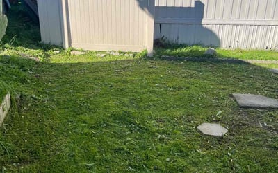 Photo of Sarah K.'s yard after getting lawn care in Gardena, CA