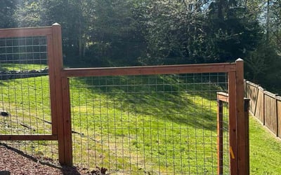 Photo of John C.'s yard after getting lawn care in Bremerton, WA