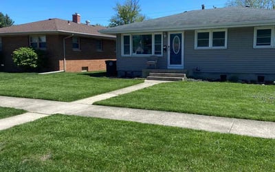 Photo of Tyerone B.'s yard after getting lawn care in Hobart, IN