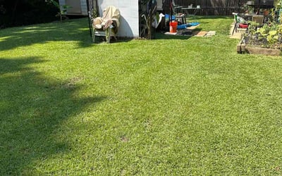 Photo of Kadeidra S.'s yard after getting lawn care in Forest Park, GA