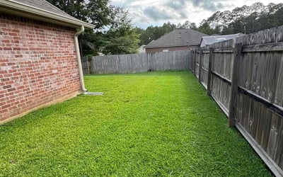 Photo of Kay M.'s yard after getting lawn care in Batavia, OH