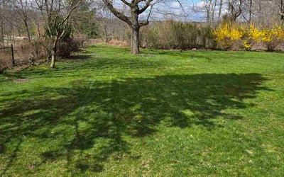 Photo of Genevieve M.'s yard after getting lawn care in Newburgh, NY