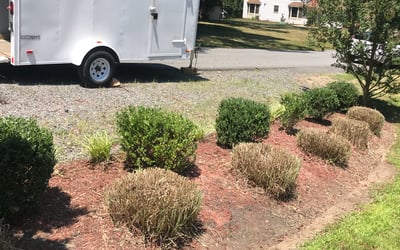 Photo of Susan R.'s yard after getting lawn care in Lowell, MA