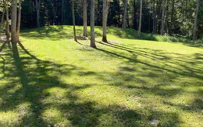 Photo of Shari L.'s yard after getting lawn care in East Stroudsburg, PA