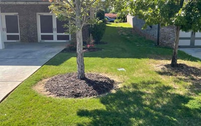 Photo of Kaden V.'s yard after getting lawn care in Raleigh, NC