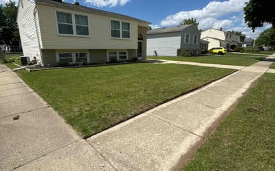 Photo of Kenan L.'s yard after getting lawn care in Commerce Township, MI