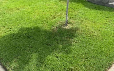 Photo of Keith G.'s yard after getting lawn care in Escondido, CA