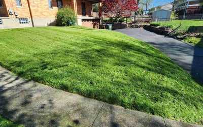 Photo of James B.'s yard after getting lawn care in Cincinnati, OH