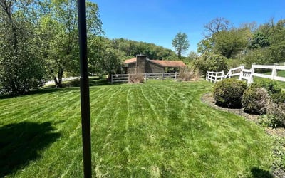 Photo of Jennifer V.'s yard after getting lawn care in Glenshaw, PA