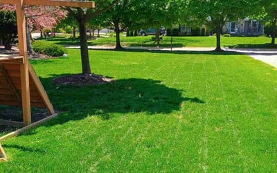 Photo of Donna S.'s yard after getting lawn care in Clio, MI