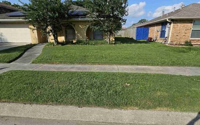 Photo of Kim L.'s yard after getting lawn care in Crowley, LA