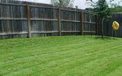 Photo of Brian B.'s yard after getting lawn care in San Antonio, TX
