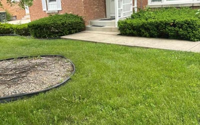 Photo of Ynan N.'s yard after getting lawn care in Niles, IL