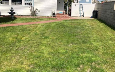 Photo of Heather G.'s yard after getting lawn care in Brea, CA