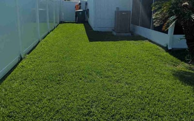 Photo of Clara T.'s yard after getting lawn care in Jacksonville, FL