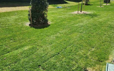 Photo of Paige D.'s yard after getting lawn care in Beltsville, MD
