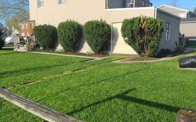 Photo of Laura C.'s yard after getting lawn care in York, PA