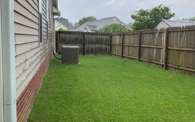 Photo of Tamara M.'s yard after getting lawn care in Black Mountain, NC