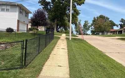 Photo of David T.'s yard after getting lawn care in Dorchester, MA