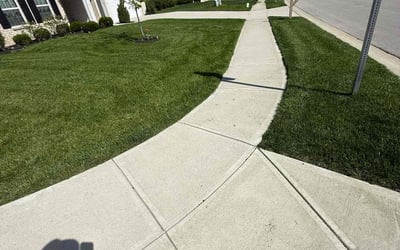 Photo of Dorothy R.'s yard after getting lawn care in Elwood, IN