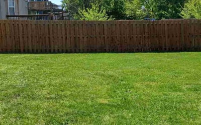 Photo of Wouter P.'s yard after getting lawn care in Thomasville, NC