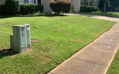 Photo of Ashley C.'s yard after getting lawn care in Brookhaven, GA
