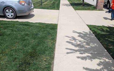Photo of Elsa W.'s yard after getting lawn care in Cedar Lake, IN