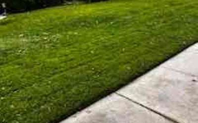 Photo of Sherry H.'s yard after getting lawn care in Maple Shade, NJ