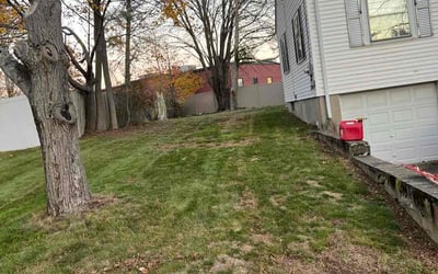 Photo of Andrew C.'s yard after getting lawn care in Austin, TX