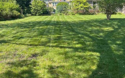 Photo of Kevin W.'s yard after getting lawn care in Vacaville, CA