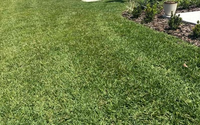 Photo of Samuel W.'s yard after getting lawn care in Sanford, ME