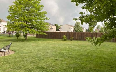 Photo of Marilyn S.'s yard after getting lawn care in Clarksville, IN
