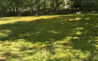Photo of Bridgette R.'s yard after getting lawn care in Swartz Creek, MI