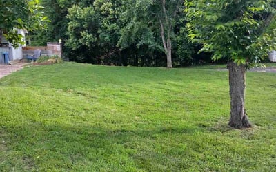 Photo of Kiara S.'s yard after getting lawn care in North Hollywood, CA