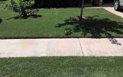 Photo of Kelly P.'s yard after getting lawn care in Pittsburgh, PA