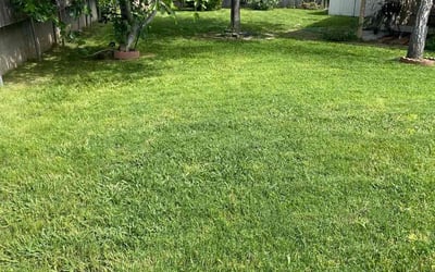Photo of Marissa A.'s yard after getting lawn care in North Highlands, CA